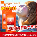 アスタキサンチン&ビタミンE(約1年分) 送料無料 サプリ ...