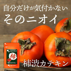 柿渋カテキン（約6ヶ月分）送料無料 サプリメント サプリ 体臭 ニオイ 香り エチケット ポリフェノール 制汗剤 香水 柿渋石鹸 香水 健康 ヘルス 石鹸 せっけん 大容量 福袋 【N】 _JB_JD_JH_C4