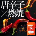 カプサイシン(約3ヶ月分) ダイエット サプリメント 送料無料 1,000円 ポッキリ 燃焼系 サポートに! アミノ酸 黒コショウ 唐辛子 ビール酵母 ウーロン茶 エイジングケア 【M】 _B5