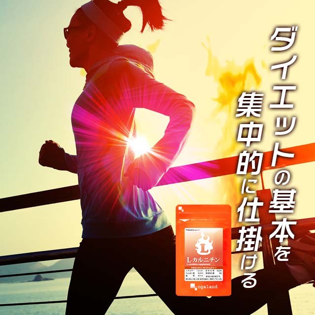 カルニチン サプリメント ダイエット 約3ヶ月分 送料無料 L-カルニチン BCAA アミノ酸 や α-リポ酸 や コエンザイムQ10 と併用◎ l-カルニチンフマル酸塩 【M】 _JD_JH_S20