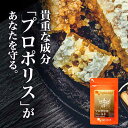 プロポリスゴールド(約1年分)送料無料 サプリメント サプリ 健康 フラボノイド アミノ酸 ミネラル ビタミン 乾燥 プロポリス マスク や のど飴 や はちみつ の代わりに 大容量 福袋 【1年分】 _B5_JB_JH