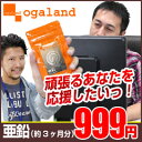ランキング1位獲得亜鉛配合サプリメント〓【お徳用亜鉛】〓250mg×270粒(約3ヶ月分)3150円以上で送料無料♪オーガランド劇場価格がんばるあなたを応援!! 10P11Jan14