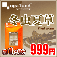 〓【冬虫夏草】.〓（約1ヶ月分）300mg×90粒16%OFF3150円以上で送料無料♪毎日がタイムセール価格福袋と同梱で送料無料(蚕虫華草/冬虫花草)健康サプリメントogaland本日最大ポイント17倍！