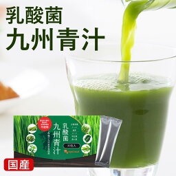 <strong>乳酸菌</strong>九州<strong>青汁</strong>（30包）送料無料 野菜不足 <strong>青汁</strong>ドリンク あおじる 大麦若葉 ケール ハチミツや牛乳と一緒に ゴーヤ 個包装 国産 ビタミン ミネラル 葉酸 オリゴ糖