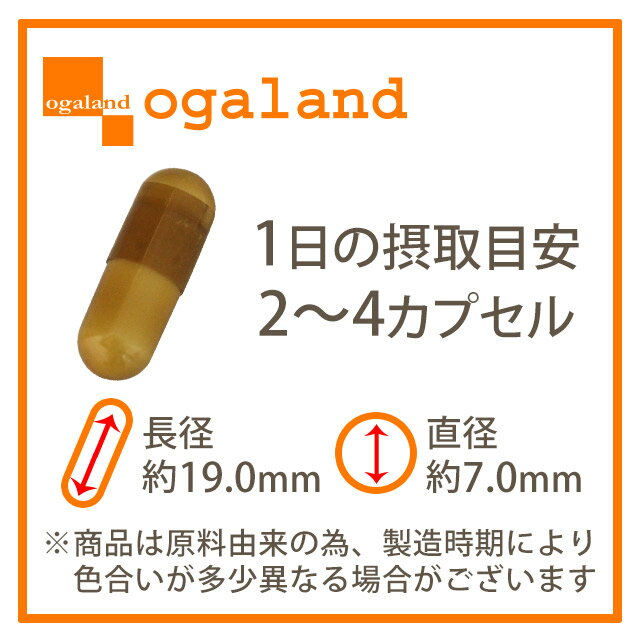 healthサプリメント〓【アルギニンカプセル】〓(3個セット・約3ヶ月分)480mg×60カプセル毎日の活動に欠かせないアミノ酸の一種。健康サイクルをサポート。若々しくありたい方に◆◆送料無料◆◆private brand ogaland