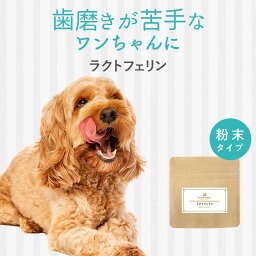 【35％ポイントバック】犬 歯磨き 歯磨き粉 歯石取り パウダー ラクトフェリン 30g デンタルケア ふりかけ サプリ フード おやつ サポート シニア 老犬 高齢 <strong>粉末</strong> ドッグフード ごはん トッピング 猫 ペット 口腔 ケア 小型犬 中型犬 大型犬 送料無料 nkdy