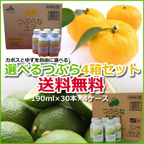 【送料無料】つぶらなカボス　つぶらなゆず　選べる4箱セット　大分　名産　つぶらなカボスシリ…...:ogushi:10000250