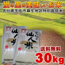 .『送料無料』仙人米 2016年度産大分県産 ひのひかり ヒノヒカリ 大分県宇佐市麻生地区特別栽培米 30kg 玄米 『送料無料』『精米無料』〜九州のお米〜【こめ】【米】