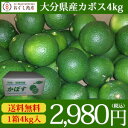 【送料無料】大分カボス!産地直送かぼす〜4kg箱入り〜「つぶらなカボス」でカボス不足の大分県から発送!