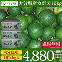 .【送料無料】大分カボス!産地直送かぼす〜4kg入り×3箱セット〜「つぶらなカボス」でカボス不足の大分県から発送!・