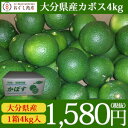 .大分カボス!産地直送かぼす〜4kg箱入り〜「つぶらなカボス」でカボス不足の大分県から発送!