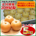 今が旬、ご家庭用のため破格でお届け【送料無料】ご家庭用　大分県産　20世紀梨　（1箱5kg）　30日以降随時お届け