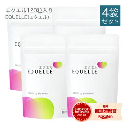 エクエル パウチ 120粒×4袋 大塚製薬 1日分の目安4粒（エクオール 10mg） エクオール 大豆イソフラボン サプリ 4個セット EQUELLE <strong>ekueru</strong> 【正規品】【メール便】【送料無料】