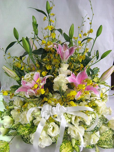 肢ςAڂ݂ς̕SƋG߂̂Ԃ̂AWBi؂₩nAWyzyyΉz ybsOEbZ[WJ[hzyyMt..