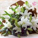 敬老の日 花 誕生日 ギフト 生花 お礼 歓送迎 ◆カサブラ...