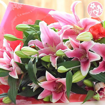 父の日 花 誕生日 結婚祝い お礼 歓送迎 大輪系ピンクユリとグリーンの花束25輪 送別 退職 女性...:ohanakakumei:10001528