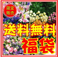 迎春お手軽 福袋！切花とグリーン合わせて約30本お花の種類はお任せください！お家中に飾ってください♪.
