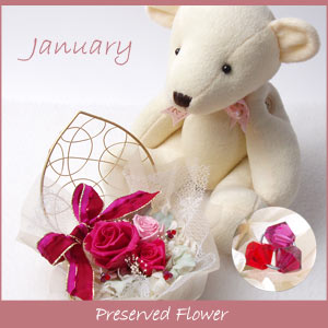 ڵޤOK1Τץ쥼Ȥ˥ץꥶ֥ɥեΥϡȤϤ 1Υϡ*եӡ礭᥯ޤ ڤб_̡ۡڤб_ۡڤб_ÿۡۡڤб_Φۡڤб_쳤ۡڤб_ᵦۡڤб_
