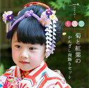 【期間限定10%OFF!6/21 13:59まで】【七歳用】...