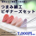 【つまみの日 割引対象品】つまみ細工ビギナーズセット【メール便配送不可】キット 材料
