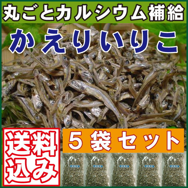 送料無料＆次回送料割引券付き「食べるにぼし」かえりいりこ80g×5袋セット香川県伊吹島沖産【いわし】【乾物】【普通便】丸かじりで健康！カルシウム補給で元気もりもり♪