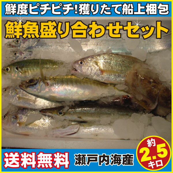 「ヤマト便限定」送料無料瀬戸内の鮮魚盛り合わせセット約2.5kg（約5〜6人前）首都圏には発送翌日夕方頃お届け可能「お魚解体説明書付き」【冷蔵便】【鮮魚】【お試しセット】