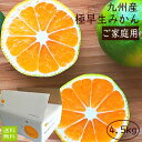 (2000円で500円OFFクーポン)(九州産)極早生温州み...