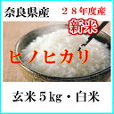 お米5kg ひのひかり(玄米) (白米)送料無料 28年産奈良県産ヒノヒカリ玄米から精米選択可能