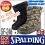 hu[c@SPALDING X|fBO@Xm[u[c@h݌v@݌vi4Ejyʁ@ihu[cj@yYECzySF-246z