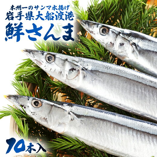 さんま サンマ 生さんま 送料無料 【 鮮さんま 10本入 直送便 】 生サンマ 鮮サンマ 秋刀魚 お取り寄せグルメ 国産 岩手 三陸 ギフト 産地直送