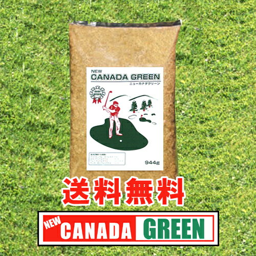■送料無料■【カナダグリーン】ニューカナダグリーン NEWカナダグリーンフカフカの芝生に！1年中常緑・カナダグリーン！