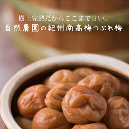 送料無料 自然農園の<strong>紀州南高梅つぶれ梅</strong> 1400g 紀州南高梅 つぶれ梅はちみつ 南高梅 つぶれ梅 はちみつ