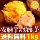 送料無料 種子島産 あま〜い安納芋の焼き芋 ベビー