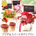 誕生日プレゼント 花プリザーブドフラワー 退職 お世話になりました ありがとう 送別会 バラ 送料無料 スイーツ お菓子 お祝い ギフト【静岡 AB】