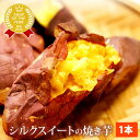 TV出演で話題!国産さつま芋シルクスイートの焼き芋 お芋専門店おいもやオススメ!今人気のねっとりあま〜いシルクスイート スイーツ お子様のおやつ 薩摩芋 サツマイモ さつまいも やきいも 1本単位 軽減税率 対象 AA