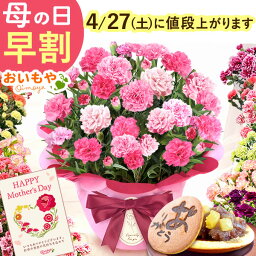 ＼4月27日お値段上がります／ 母の日 早割 プレゼント お花 2024 ギフト 生花 <strong>鉢</strong>植え 希少 <strong>鉢</strong>花 カーネーション 5号 どら焼き おしゃれ かわいい 送料無料 スイーツ お菓子 和菓子 一人暮らし クーポン 楽天ランキング1位 セット おいもや