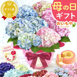 ＼まだ間に合う！／ 母の日 プレゼント ははの日 花 生花 ギフト あじさい アジサイ <strong>紫陽花</strong> 2色植え 5号鉢 鉢花 鉢植え 希少 苺バウム 送料無料 スイーツ お菓子 洋菓子 ギフトセット 花とお菓子 <strong>おいもや</strong>