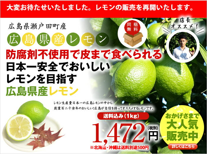 広島県瀬戸田産レモン 防腐剤不使用 良品1kg(約8玉〜10玉) 送料込み ランキングお取り寄せ