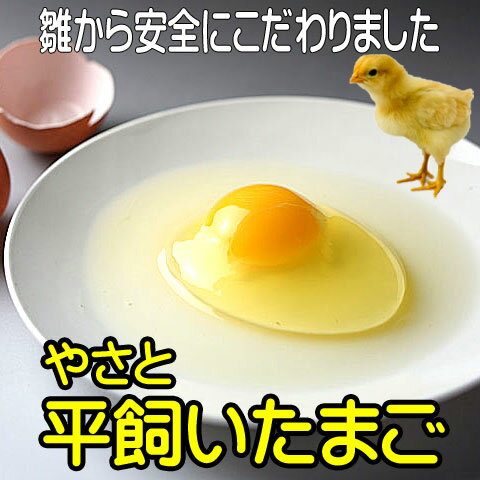 卵 タマゴ 「やさと平飼い卵M50個」 送料無料 安全安心 こだわり新鮮卵 産み立て産地直送 たまご 玉子 平飼い卵 茨城 ギフト お取り寄せ