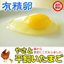 卵 タマゴ 「やさと平飼いたまごM90個 有精卵」 送料無料...