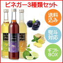 フルーツビネガー飲むおいしい酢ライム・プルーン・生姜3本セット【飲む酢】【果実酢】【母の日】【専用箱入】【楽ギフ_包装】【楽ギフ_のし宛書】【楽ギフ_メッセ入力】SS10P03mar13【RCP】