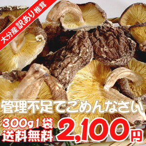 訳あり大分県産干ししいたけ300g管理不足でごめんなさい.. ちょっと訳あり椎茸 ご当地グルメ メガ盛り B級グルメ★総合評価4.82★＜2011/7/23現在＞ 