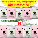 札幌円山動物園 白クマラーメン紅白セット 塩×5食 醤油×5食入【北海道限定/円山動物園/醤油ラーメン/袋ラーメン/お土産/白くま醤油ラーメン/白くま塩ラーメン】藤原製麺