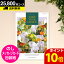 \ポイント10倍/【送料無料】カタログギフト CATALOG GIFT テイクユアチョイス セントポーリア 25800円コース(A44) (引き出物 カタログギフト 出産内祝い 香典返し 快気祝い お祝い 内祝 ギフトカタログ グルメ 定番カタログギフト ハーモニック)