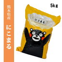 【送料無料】平成30年産米 熊本県産にこまる 精白米5kg 【おいしいお米】【九州産 米】【九州熊本県から直送】