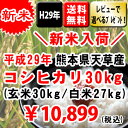 【新米】平成29年 熊本県天草産 コシヒカリ 玄米30kg(10kg×3袋)/精米約27kg(約9kg×3袋)【送料無料】【数量限定】【おいしいお米】【九州産 米】