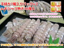 コレ1つで送料無料 ムキシャコ2サイズ 大&子持ち中の2種セ...
