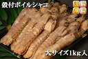 コレ1つで送料無料!! ボイルシャコ冷蔵!!殻付き大 1kg...