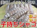 コレ1つで送料無料 ムキシャコ子持ち14尾入り すぐに食べら...