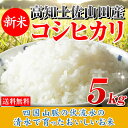 29年産 高知県土佐山田産コシヒカリ5kg【お試し価格/10kg〜でさらにお買い得】【新米入荷】【高級米/ブランド米】 送料無料 こしひかり